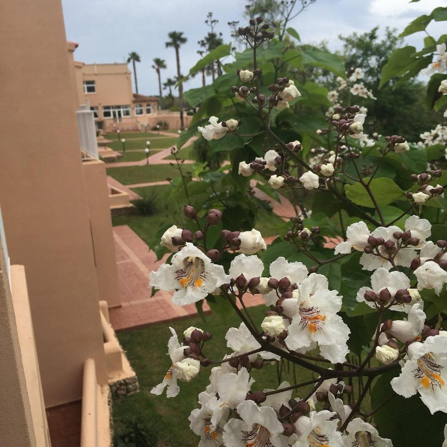 Arenas De Hotel Son Bou
